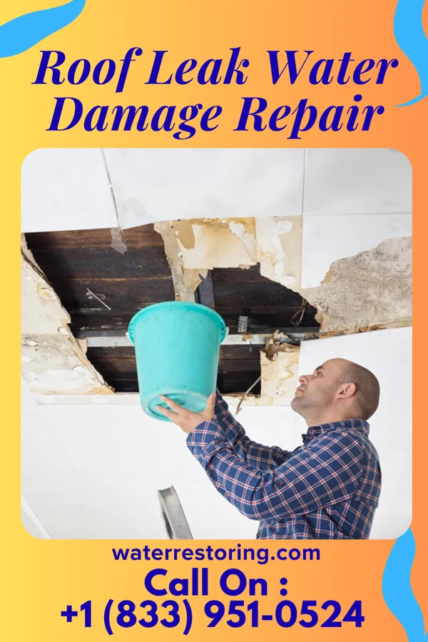 Roof Leak Water Damage Repair in Wamic, OR
